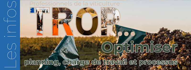 Organiser l’année d’un domaine viticole : 4 saisons, 4 métiers